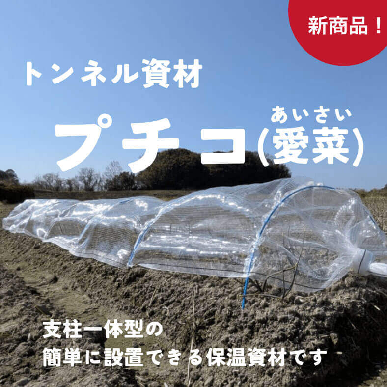 限定商品イメージ