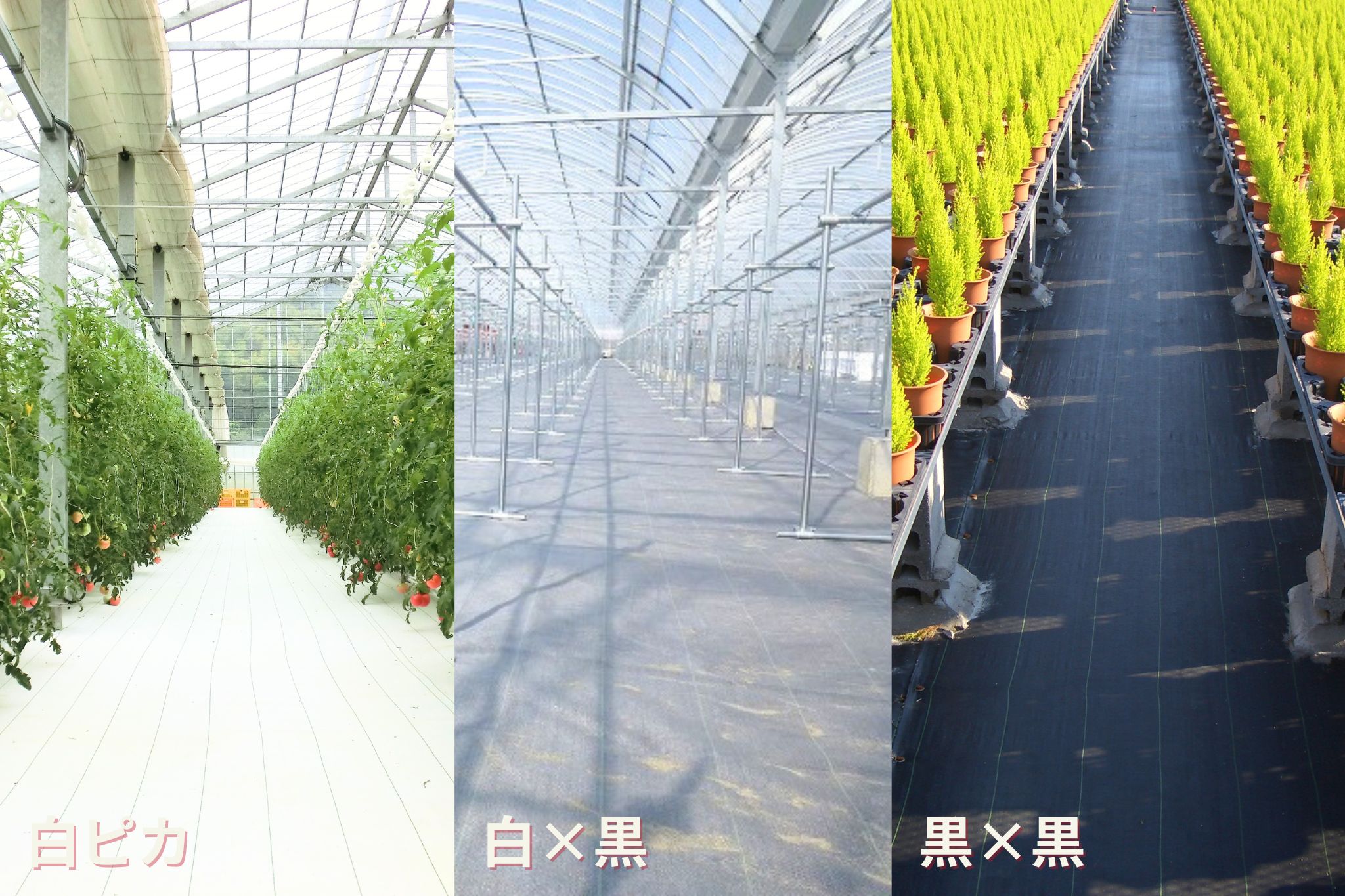 ルンルンシート利用例